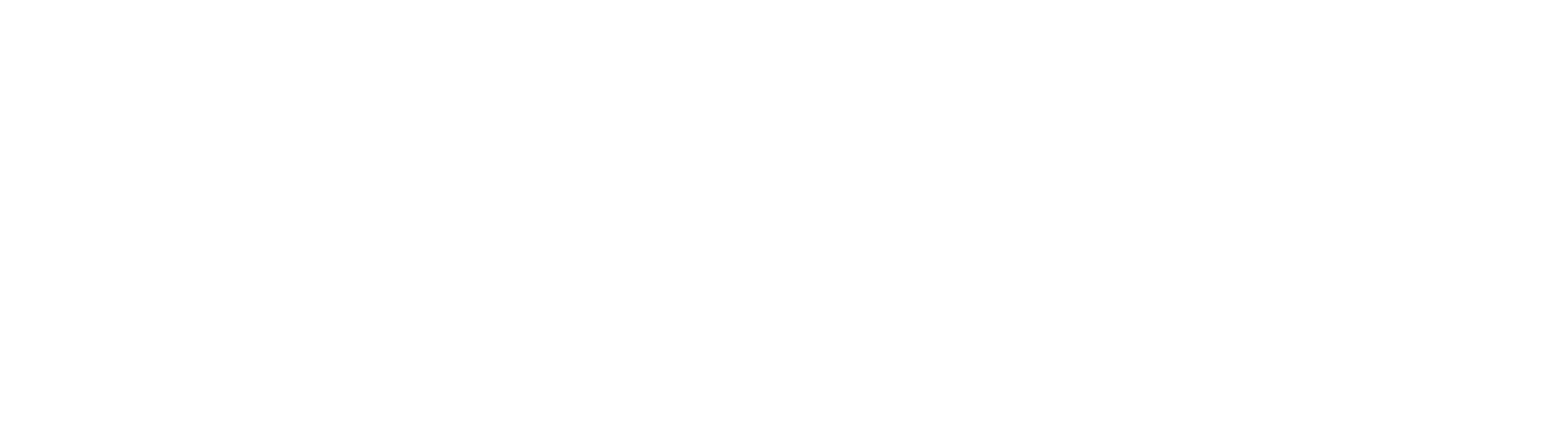 Logo Saldo.pe